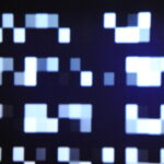 BVAM 137 Foto Florencia Deisen