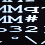 BVAM 138 Foto Florencia Deisen