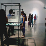 BVAM 5 Foto Alejandra Villasmil