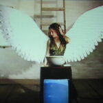 Juan Castillo, Nunca serán perfectos los aullidos, Chile