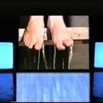 nunca serán perfectos los aullidos